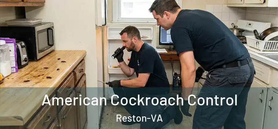 American Cockroach Control Reston-VA
