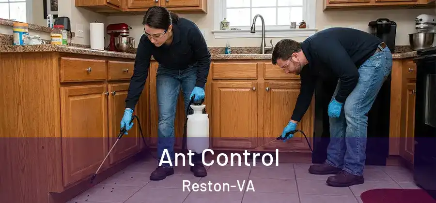 Ant Control Reston-VA