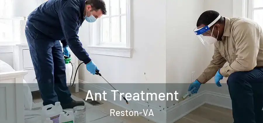  Ant Treatment Reston-VA