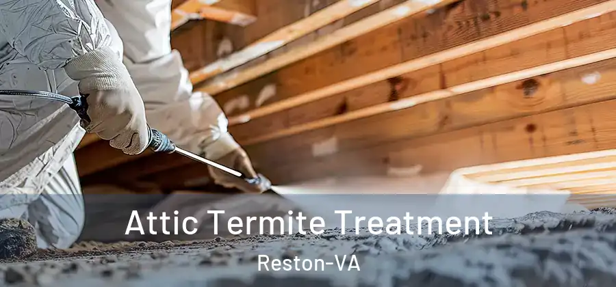  Attic Termite Treatment Reston-VA