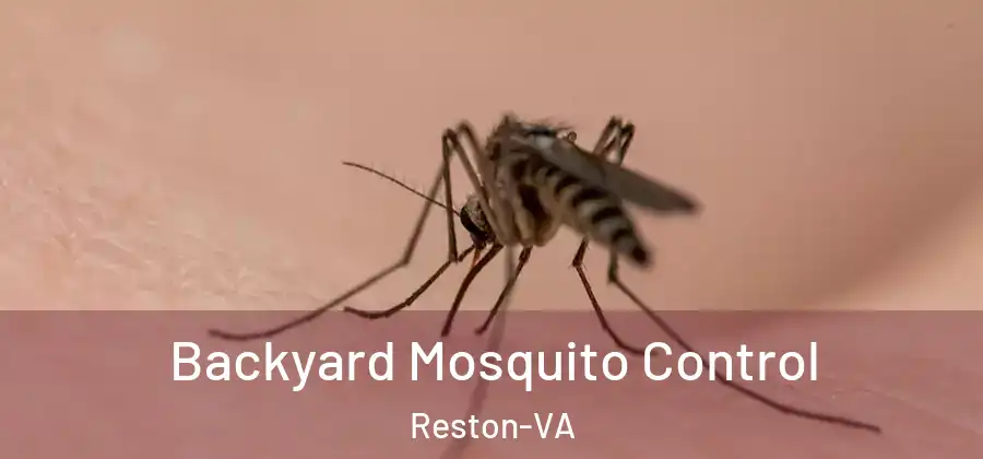 Backyard Mosquito Control Reston-VA