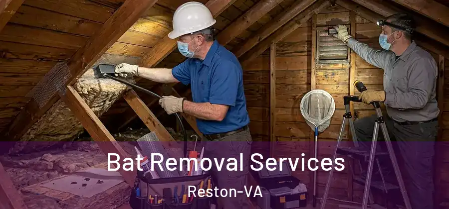Bat Removal Services Reston-VA