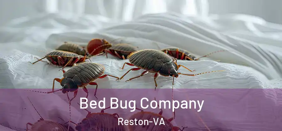Bed Bug Company Reston-VA