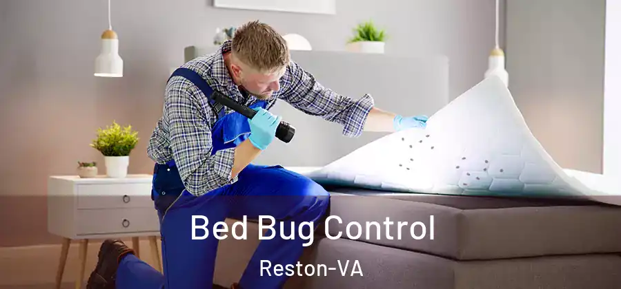 Bed Bug Control Reston-VA