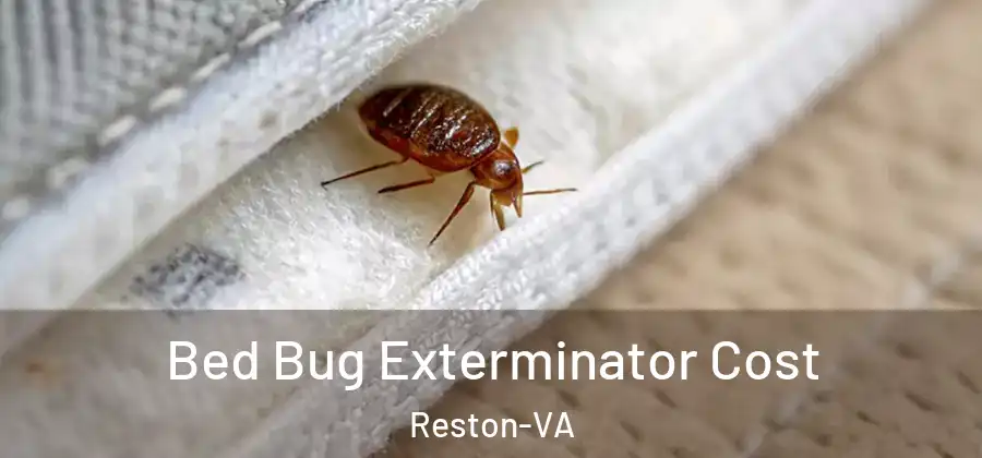Bed Bug Exterminator Cost Reston-VA