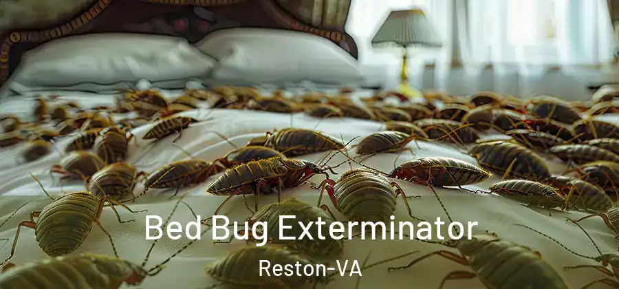 Bed Bug Exterminator Reston-VA