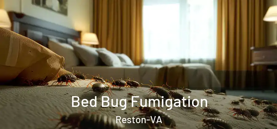 Bed Bug Fumigation Reston-VA