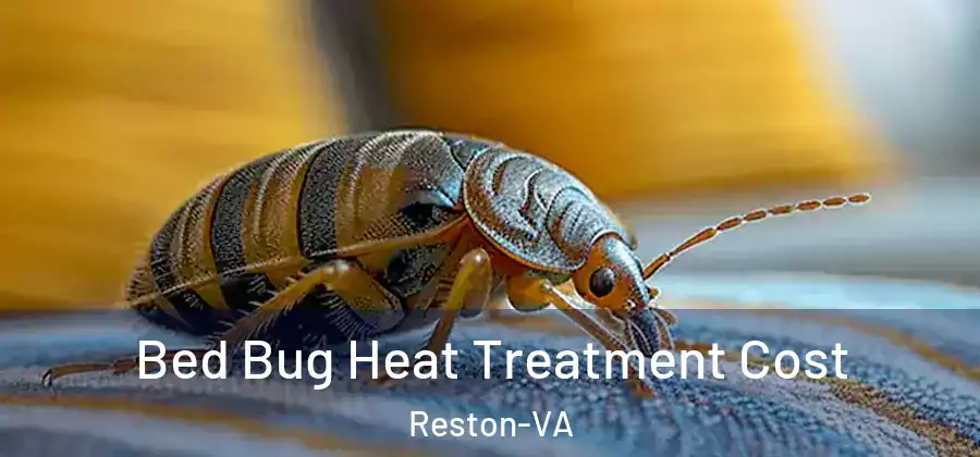 Bed Bug Heat Treatment Cost Reston-VA