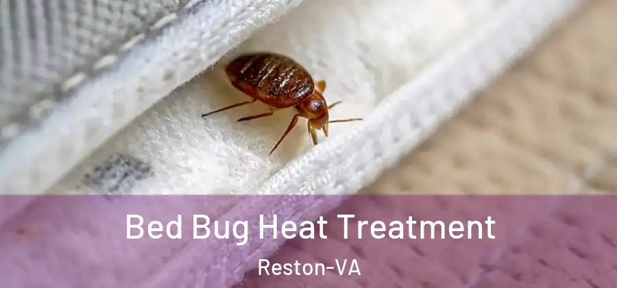 Bed Bug Heat Treatment Reston-VA