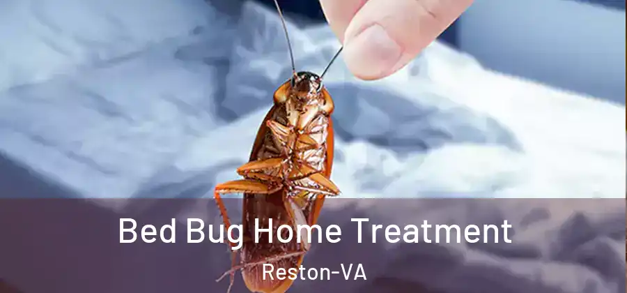 Bed Bug Home Treatment Reston-VA