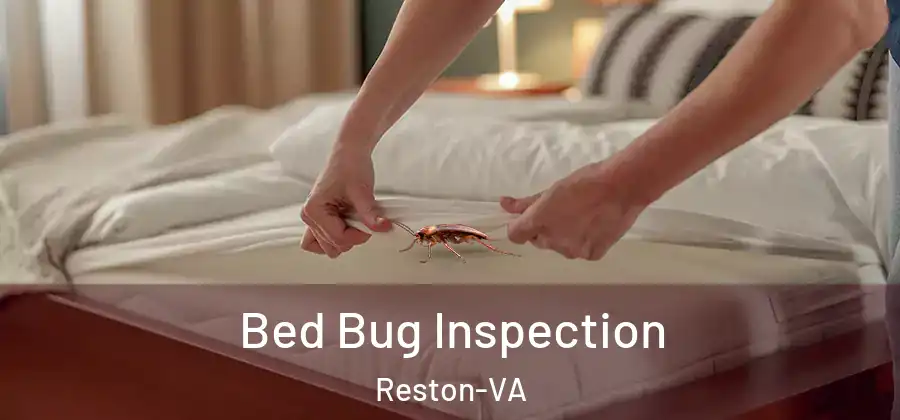  Bed Bug Inspection Reston-VA