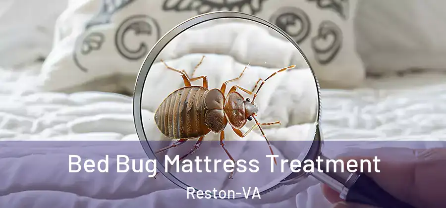 Bed Bug Mattress Treatment Reston-VA