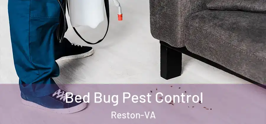  Bed Bug Pest Control Reston-VA