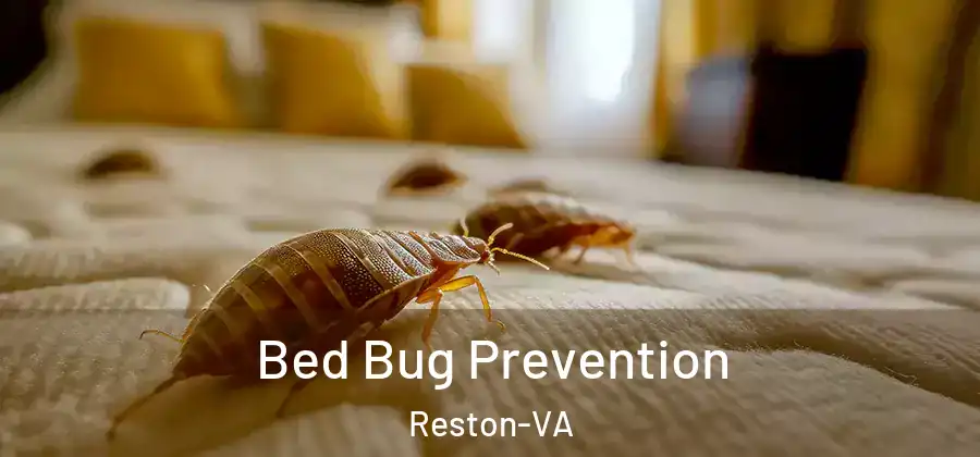 Bed Bug Prevention Reston-VA
