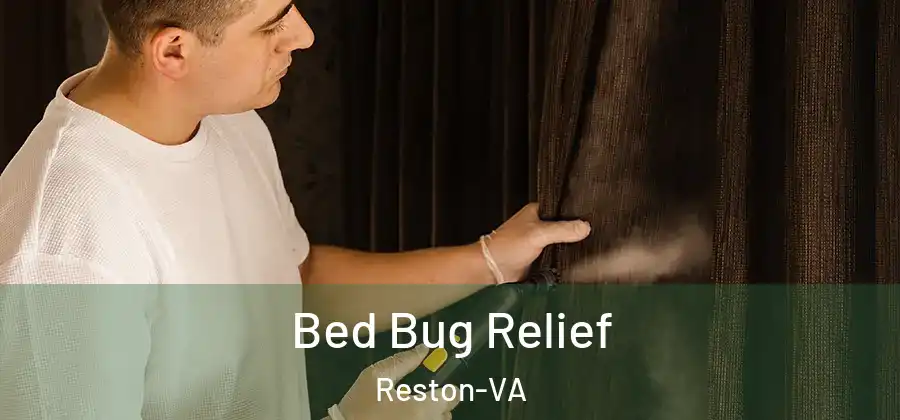 Bed Bug Relief Reston-VA