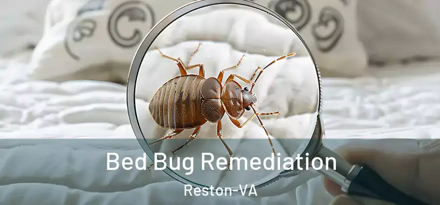 Bed Bug Remediation Reston-VA