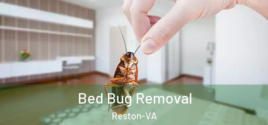 Bed Bug Removal Reston-VA