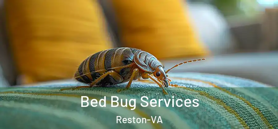 Bed Bug Services Reston-VA