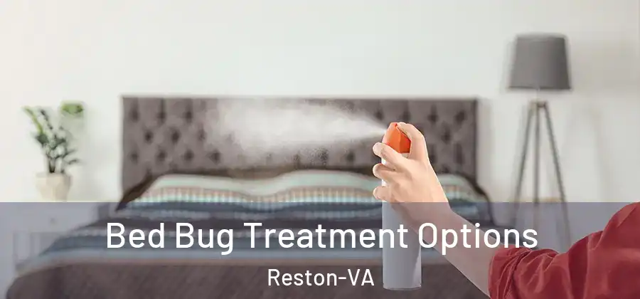  Bed Bug Treatment Options Reston-VA