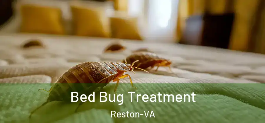Bed Bug Treatment Reston-VA