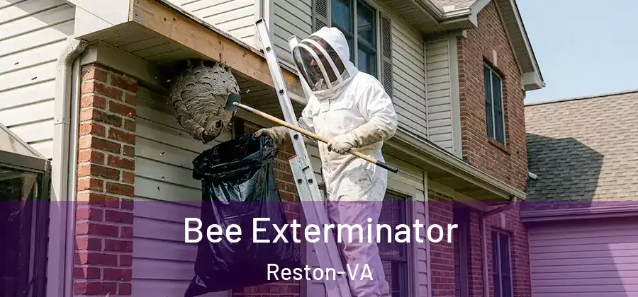 Bee Exterminator Reston-VA