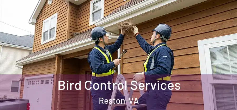 Bird Control Services Reston-VA