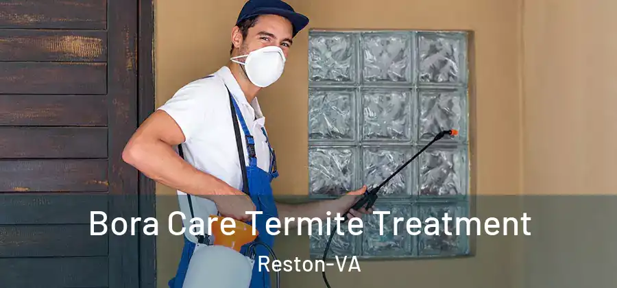 Bora Care Termite Treatment Reston-VA
