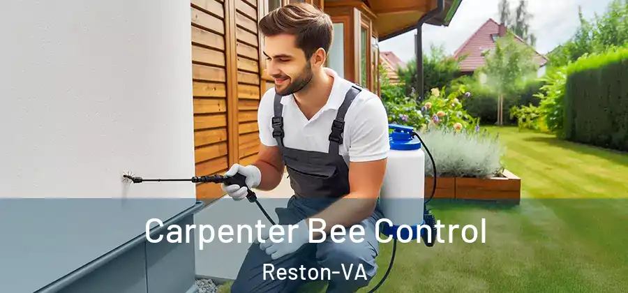 Carpenter Bee Control Reston-VA