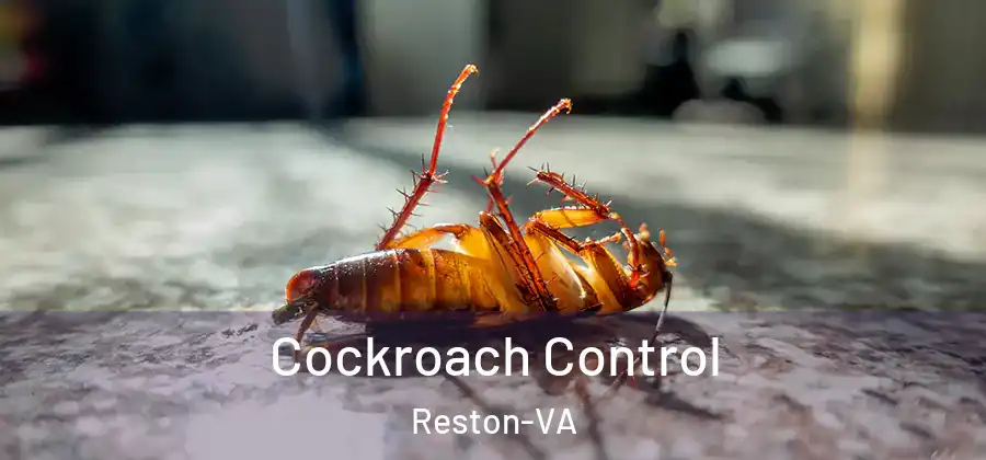 Cockroach Control Reston-VA