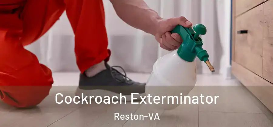 Cockroach Exterminator Reston-VA
