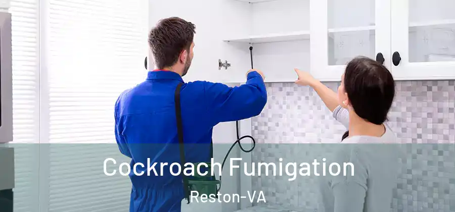 Cockroach Fumigation Reston-VA