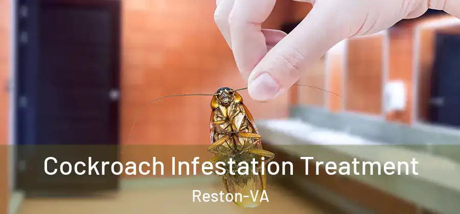 Cockroach Infestation Treatment Reston-VA