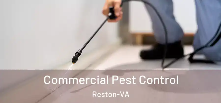 Commercial Pest Control Reston-VA