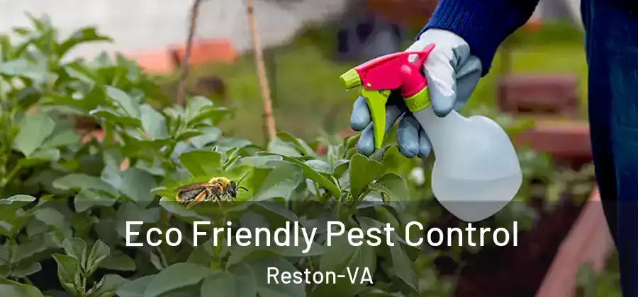  Eco Friendly Pest Control Reston-VA