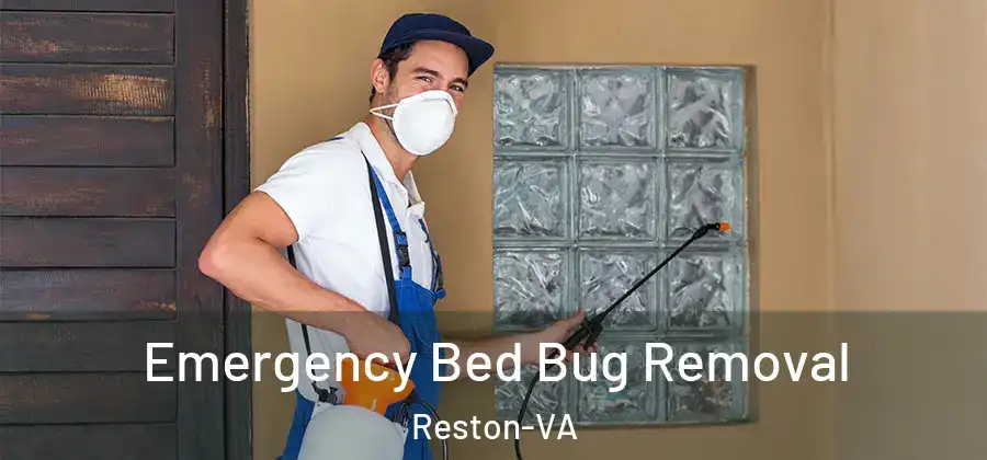 Emergency Bed Bug Removal Reston-VA