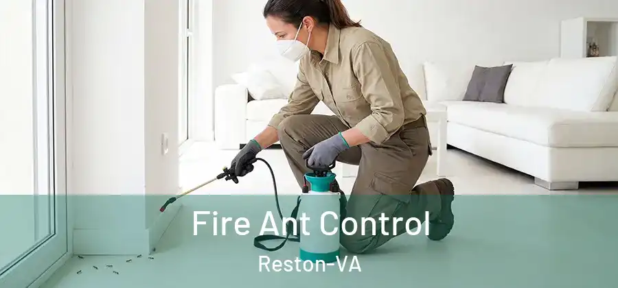 Fire Ant Control Reston-VA