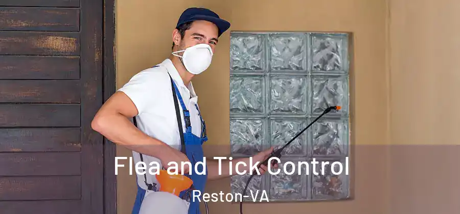 Flea and Tick Control Reston-VA
