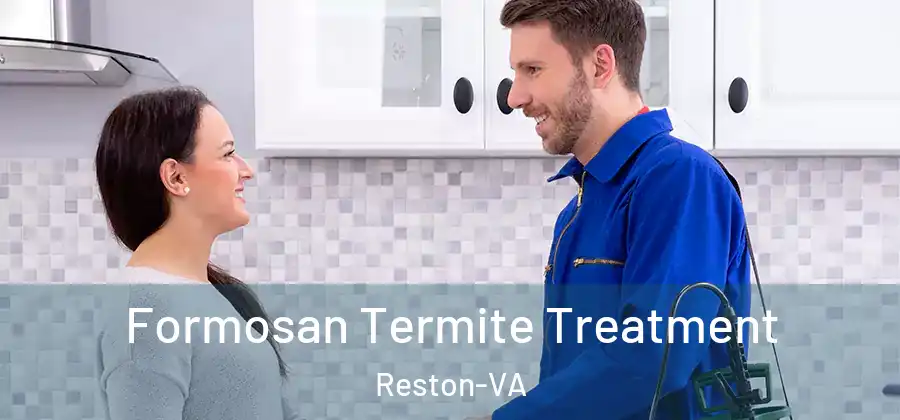 Formosan Termite Treatment Reston-VA