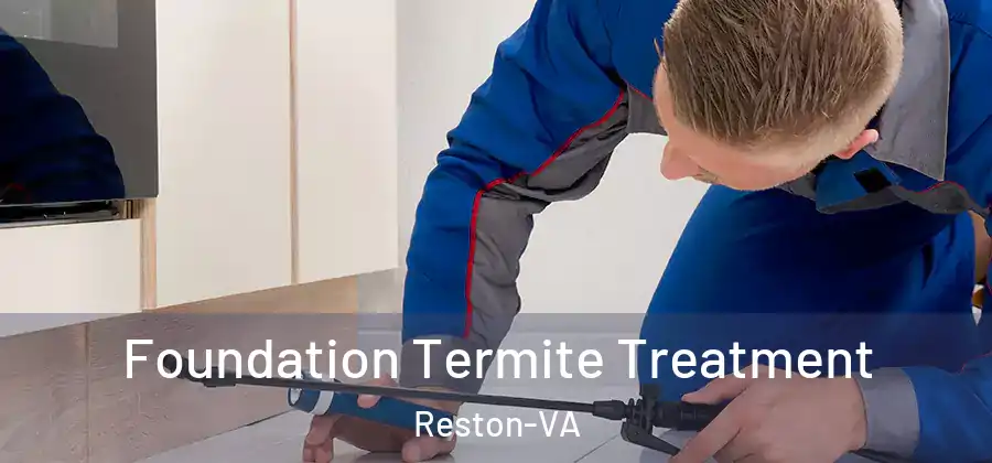 Foundation Termite Treatment Reston-VA
