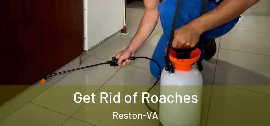 Get Rid of Roaches Reston-VA