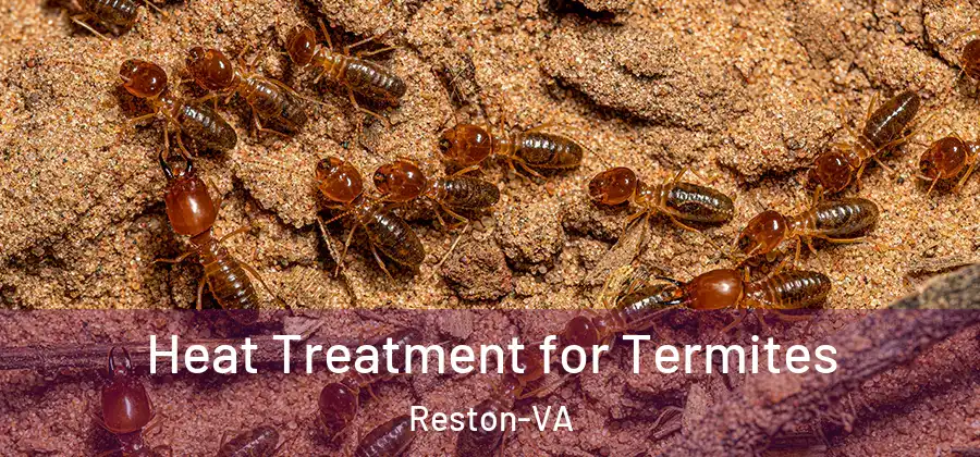 Heat Treatment for Termites Reston-VA