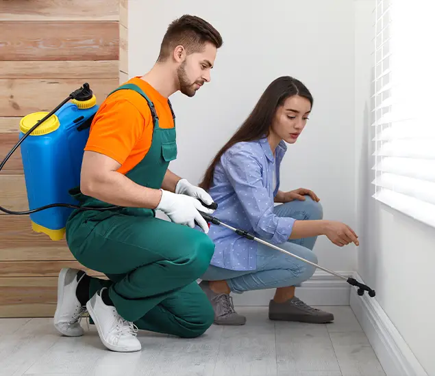 Trusted Affordable Bed Bug Treatment Experts in Reston, VA