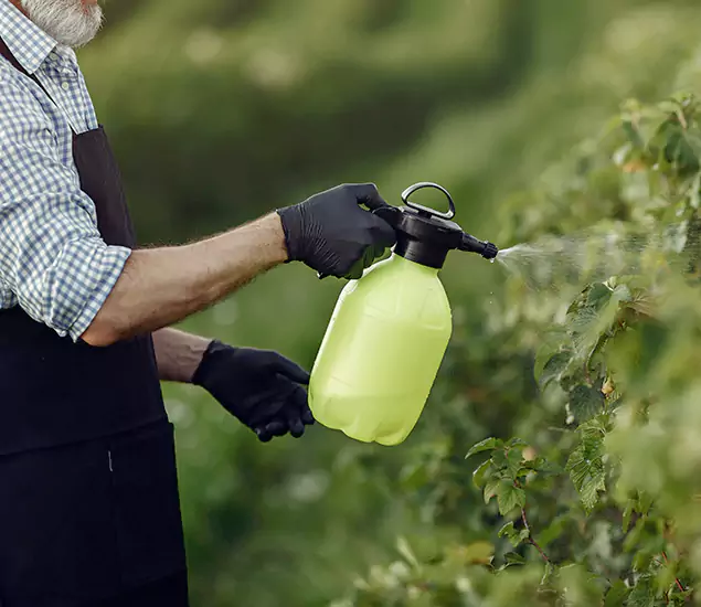 Your Proven Mosquito Treatment Company in Reston, VA