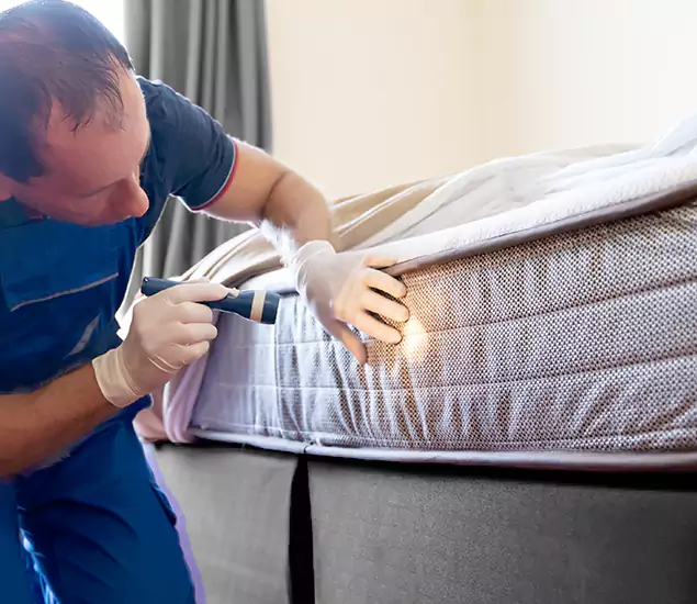 Trusted Bed Bug Cost Experts in Reston, VA