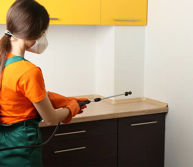 Trusted Bed Bug Pest Control Specialist in Reston, VA