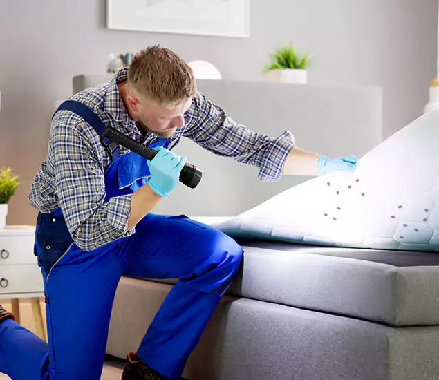 Trusted Bed Bug Remediation Experts in Reston, VA