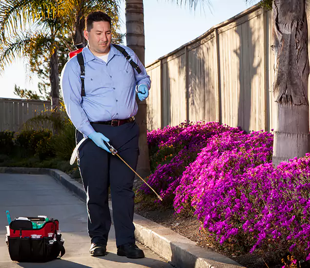 About Our Eco Safe Pest Control Experts in Reston, VA