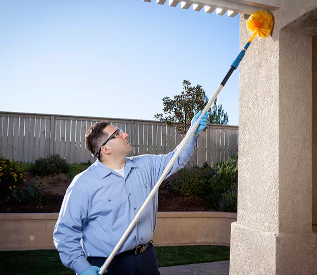Trusted Experts in Reston VA for Formosan Termite Treatment and Black Termite Control