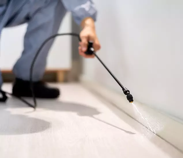 About Our Liquid Termite Treatment Experts in Reston, VA