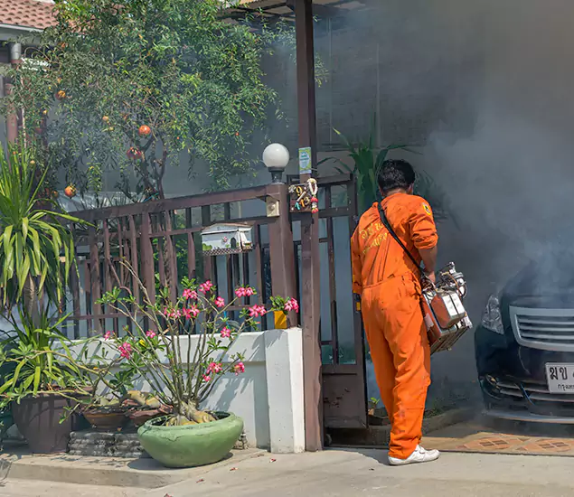 Your Proven Mosquito Fogging Company in Reston, VA